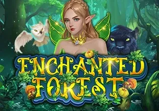 Enchanted Forest
